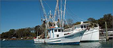 Bluffton, SC