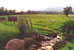 Swannanoa Valley Fine Art Leagu